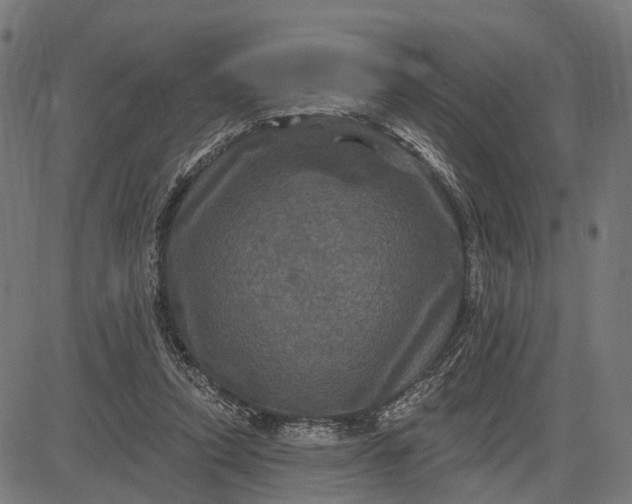 X0000082710354200702091753