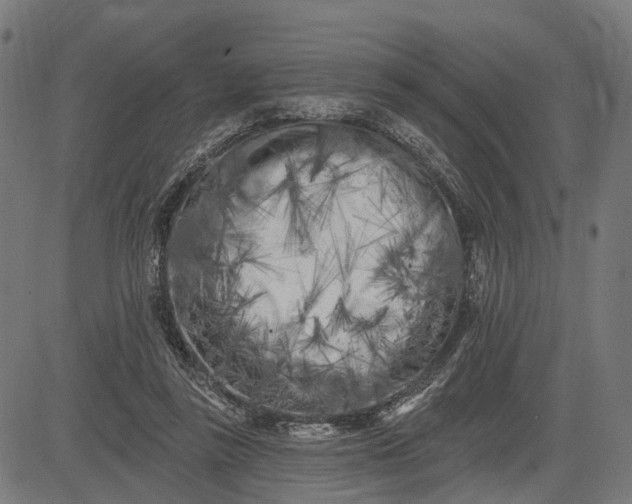 X0000082710355200702091753