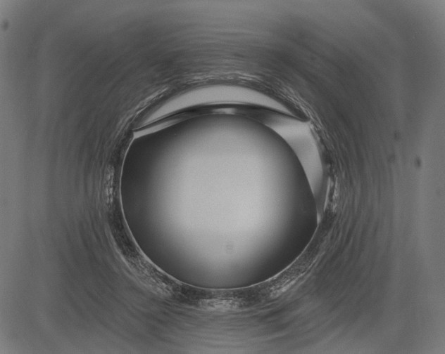 X0000082710356200702091753