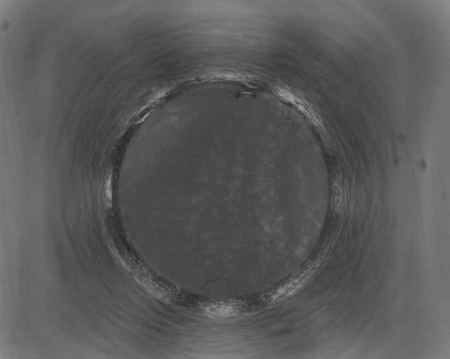 X0000082710358200702091753