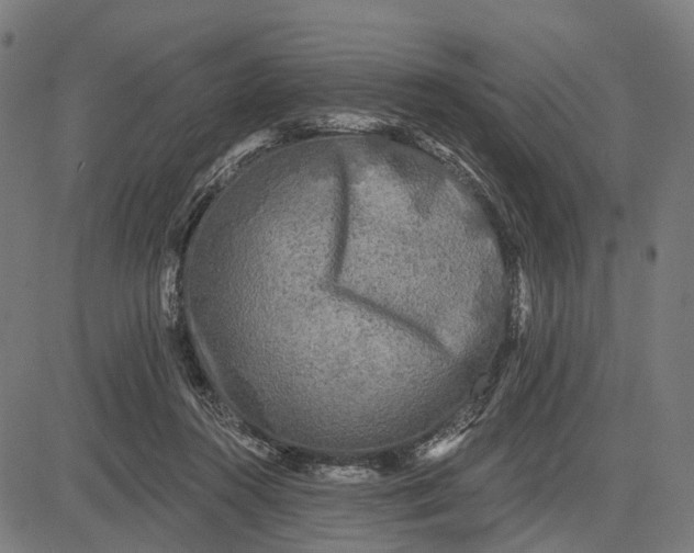 X0000082710360200702091753