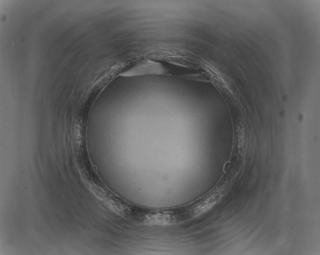 X0000082710362200702091753