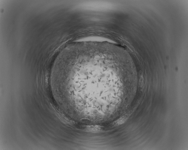 X0000082710363200702091753