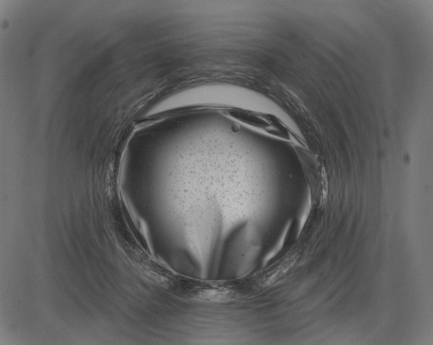 X0000082710364200702091753