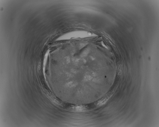 X0000082710365200702091753