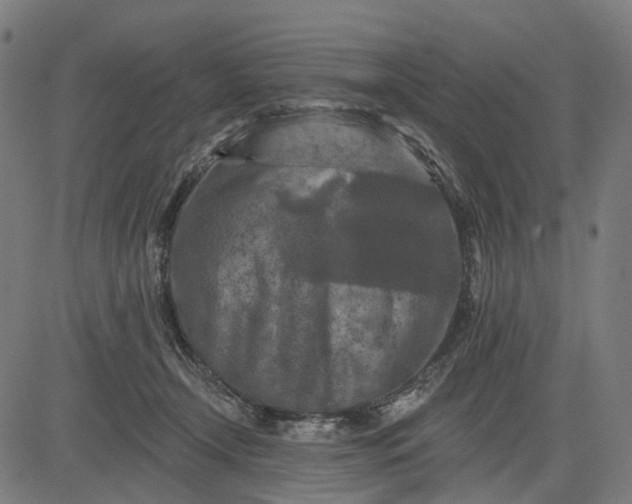 X0000082710366200702091753