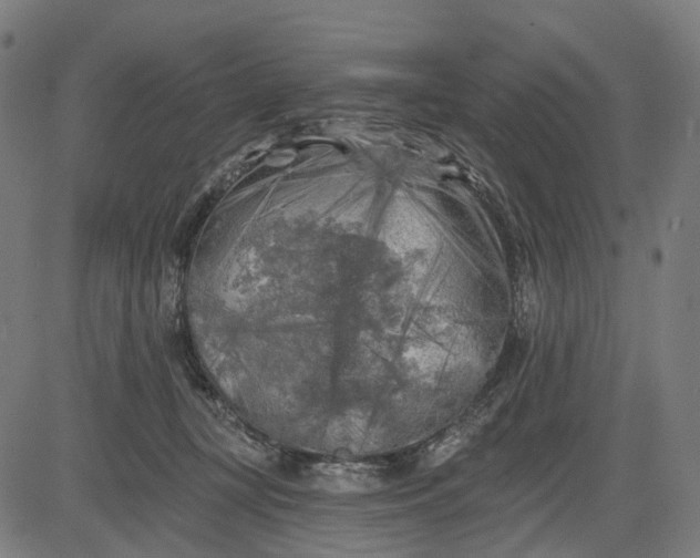 X0000082710367200702091753