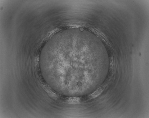 X0000082710369200702091753