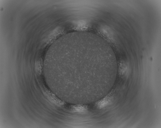 X0000082710370200702091753