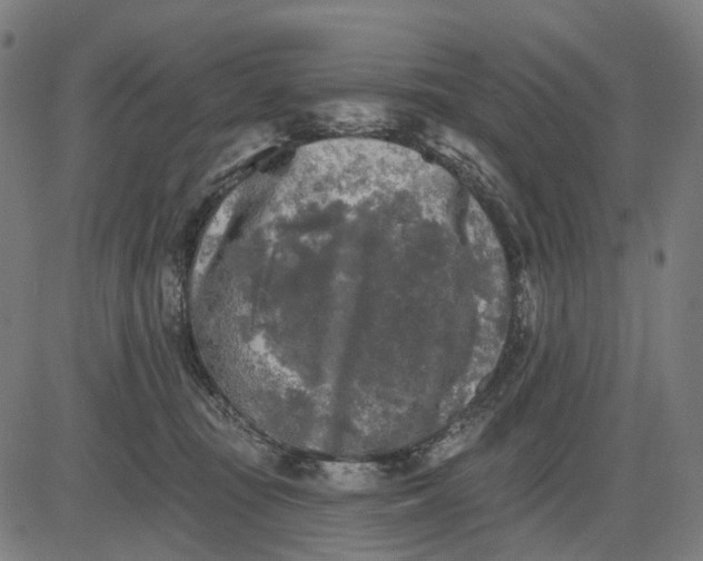 X0000082710371200702091753