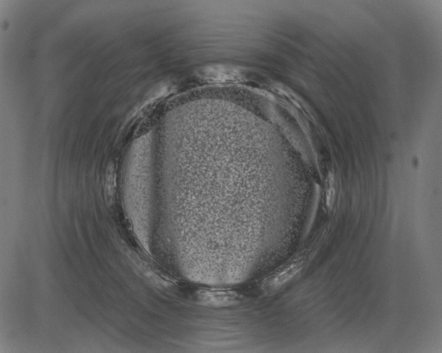 X0000082710372200702091753