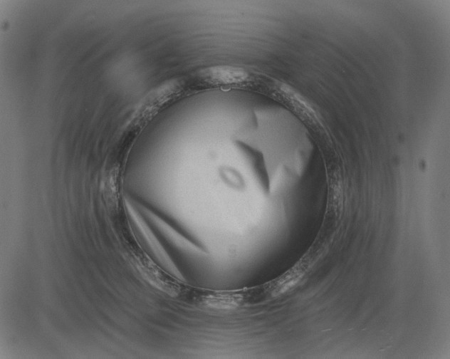 X0000082710373200702091753