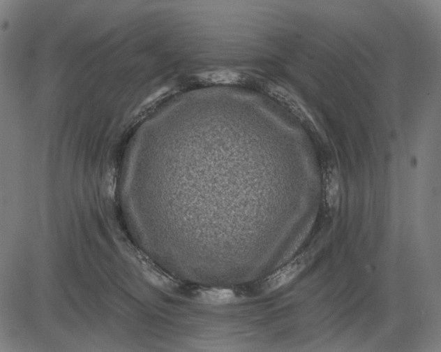 X0000082710374200702091753