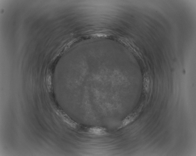 X0000082710375200702091753