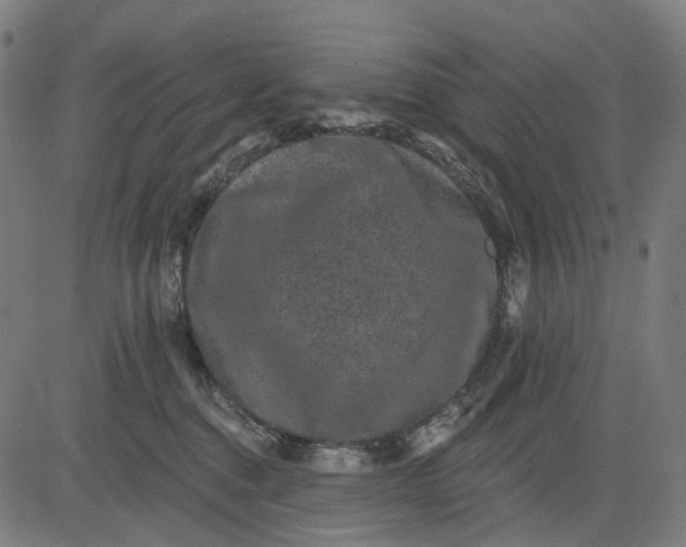 X0000082710376200702091753