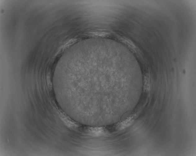 X0000082710377200702091753