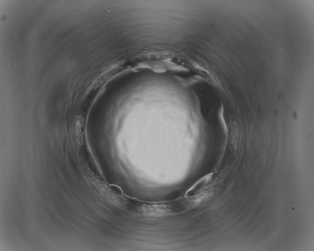 X0000082710378200702091753