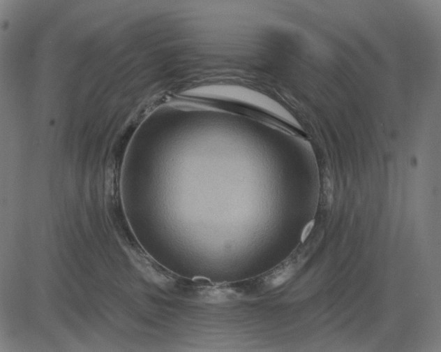 X0000082710379200702091753