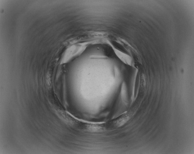 X0000082710380200702091753