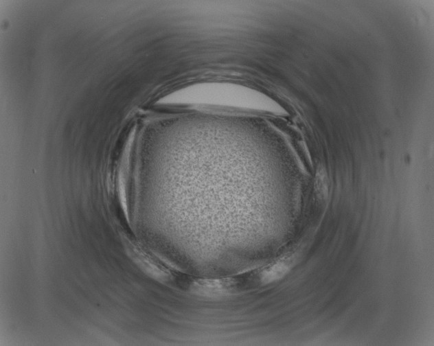 X0000082710381200702091753