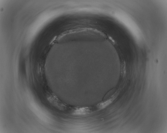 X0000082710382200702091754