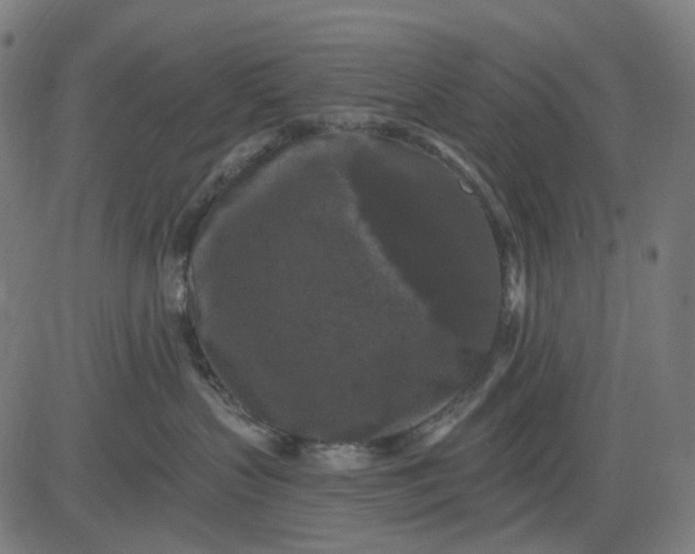 X0000082710383200702091754