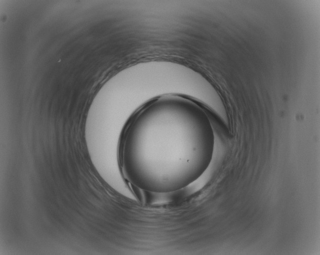 X0000082710384200702091754