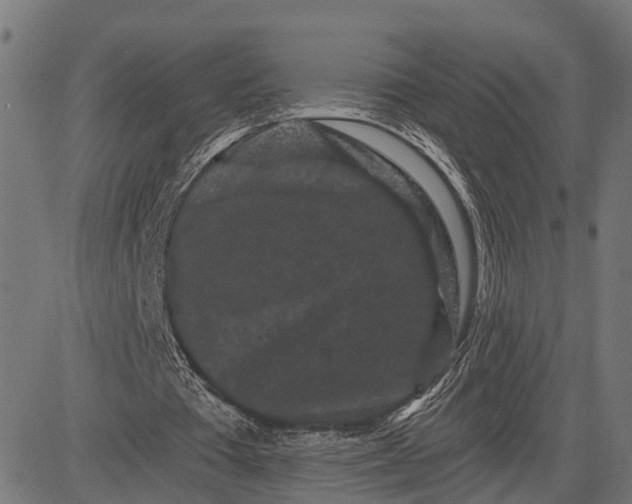 X0000082710385200702091753