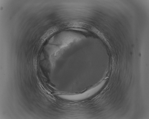 X0000082710386200702091753