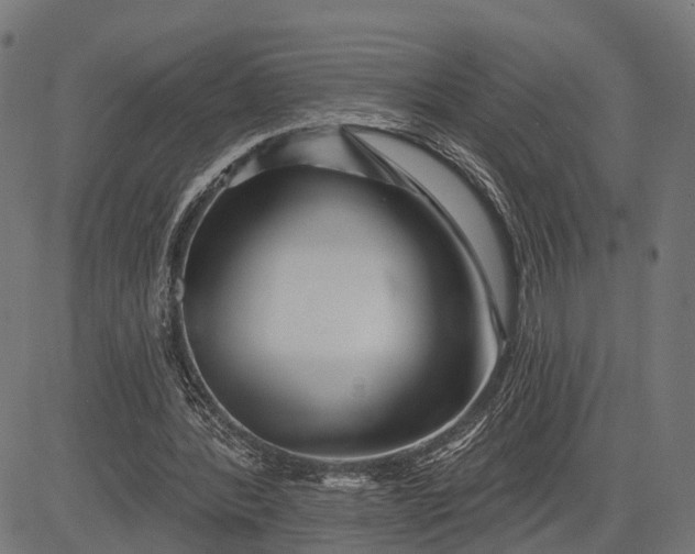 X0000082710388200702091753