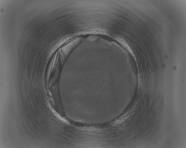 X0000082710389200702091753