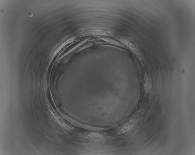 X0000082710390200702091753