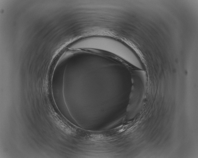 X0000082710391200702091753