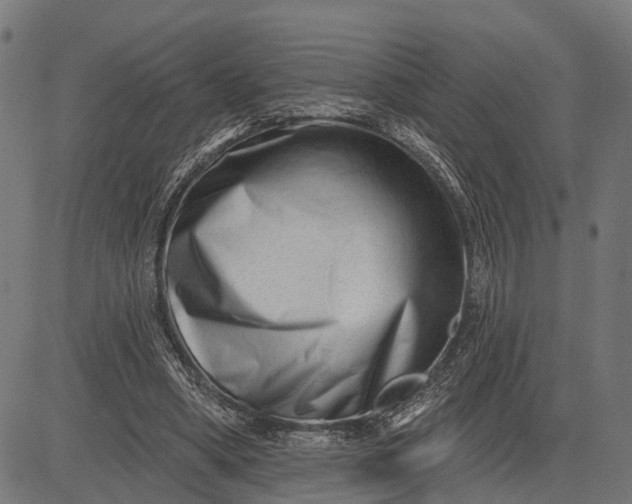 X0000082710394200702091753