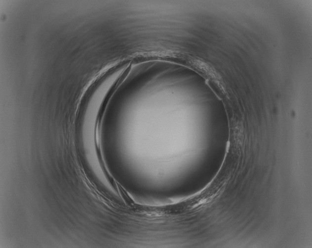 X0000082710395200702091753