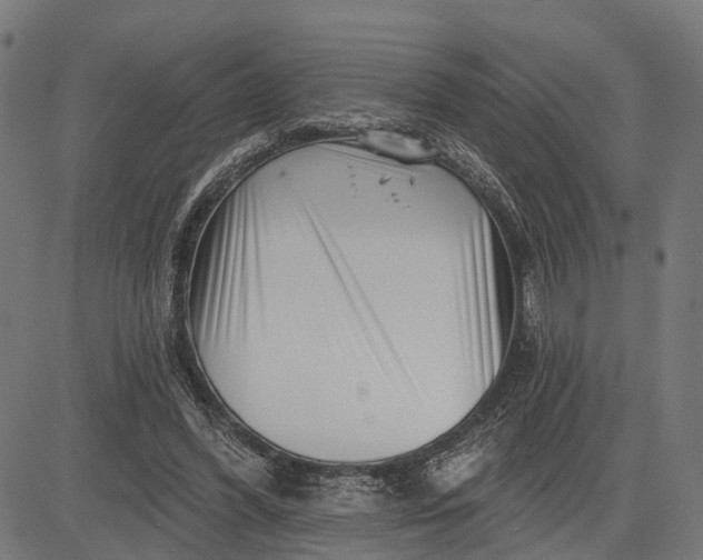 X0000082710396200702091753