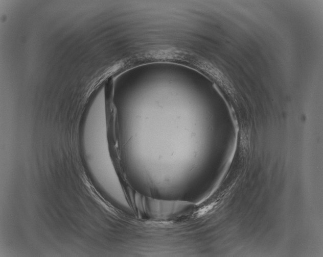 X0000082710397200702091753