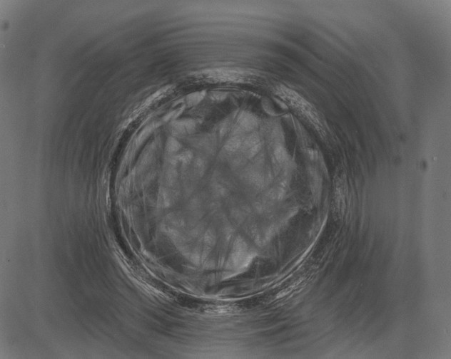 X0000082710398200702091753