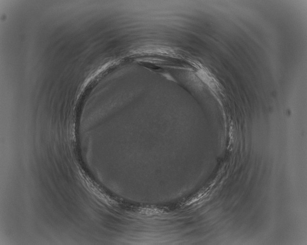 X0000082710399200702091753