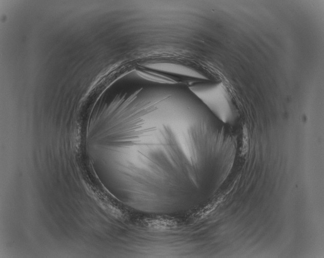 X0000082710400200702091753