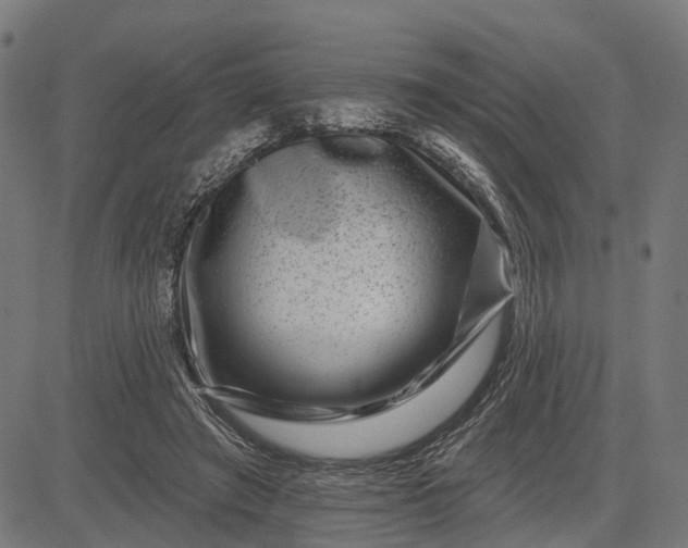 X0000082710401200702091753