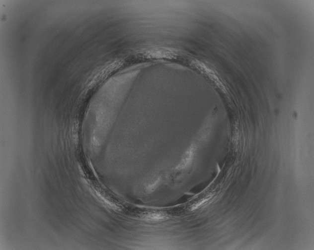 X0000082710402200702091752