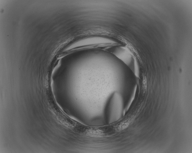 X0000082710403200702091752