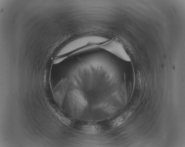 X0000082710404200702091752