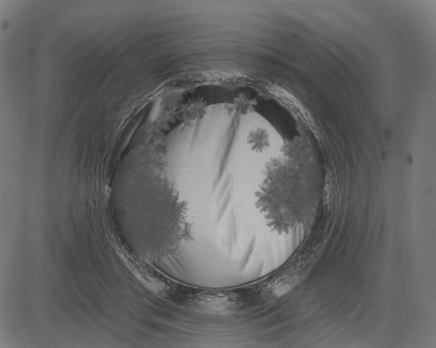 X0000082710405200702091752