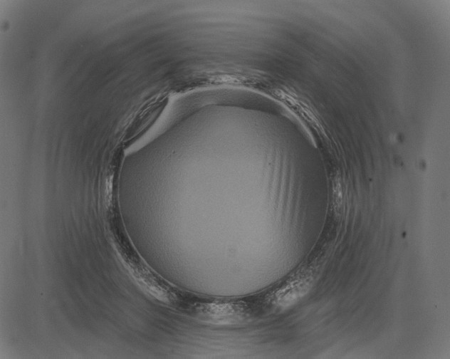 X0000082710406200702091752