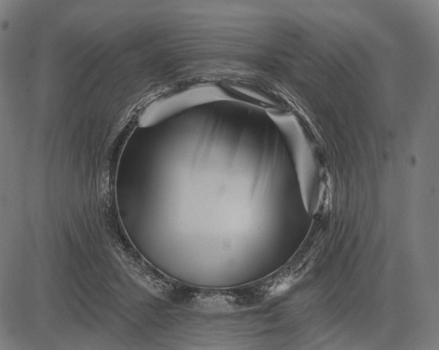 X0000082710407200702091752