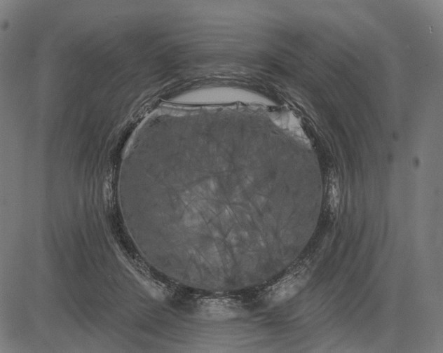 X0000082710408200702091752