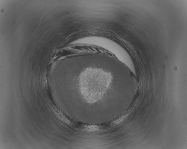 X0000082710409200702091752