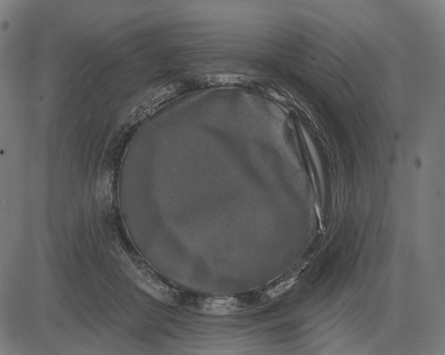 X0000082710410200702091752